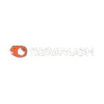 semrush-certified-digital-marketing-consultant-in-calicut-removebg-preview